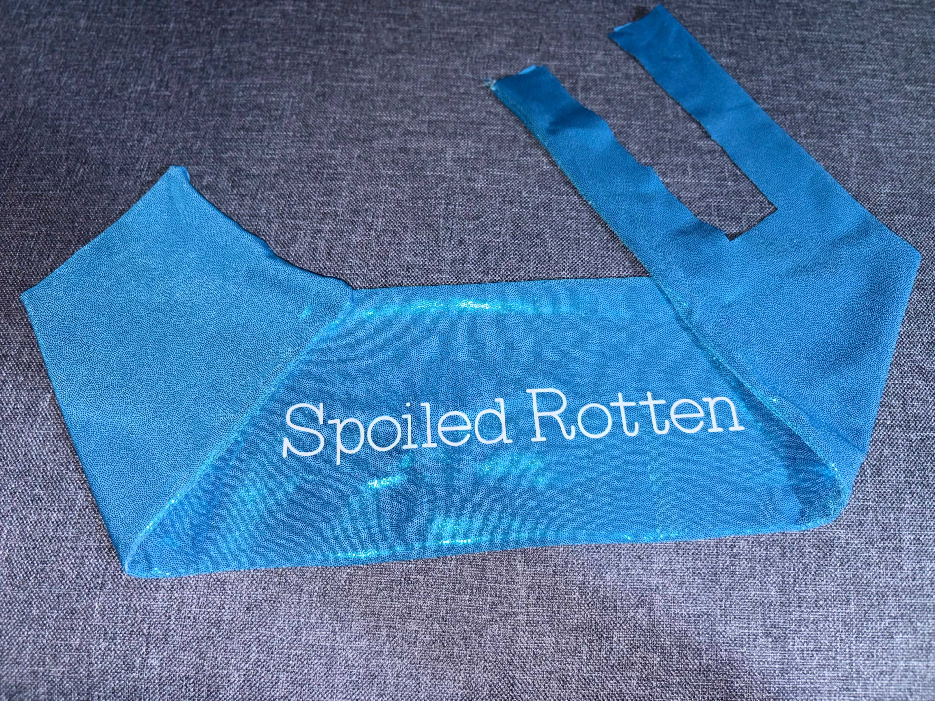 Turquoise Tail Bag w/lettering